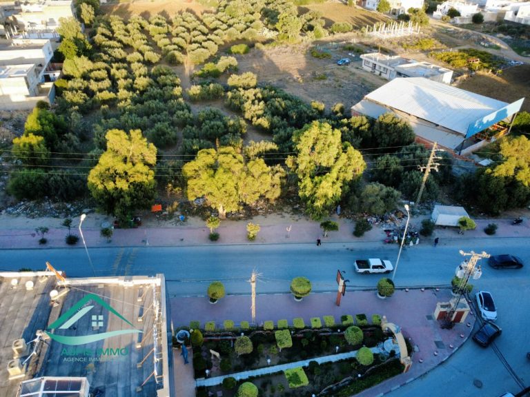 Vt684 terrain commercial 13500 m2 &agrave; kelibia