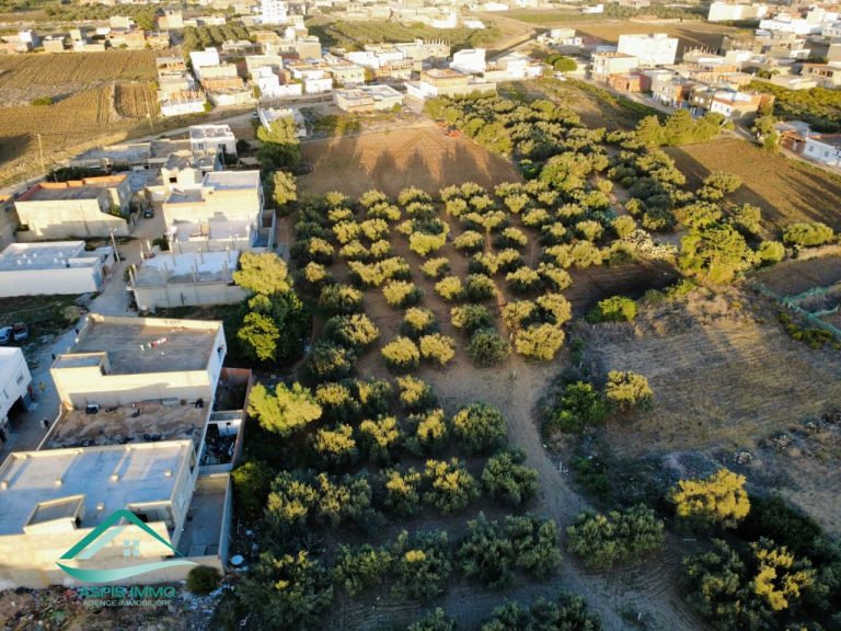 Vt684 terrain commercial 13500 m2 &agrave; kelibia