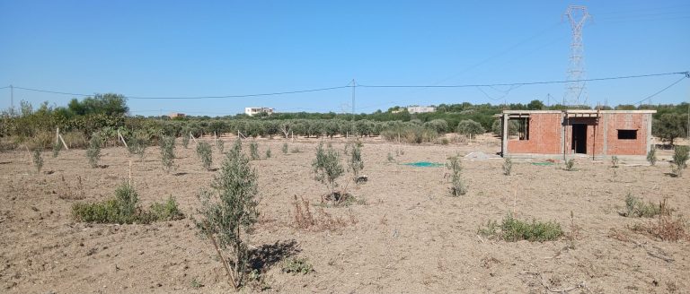 Terrain agricole 5000 m avec une petite maison