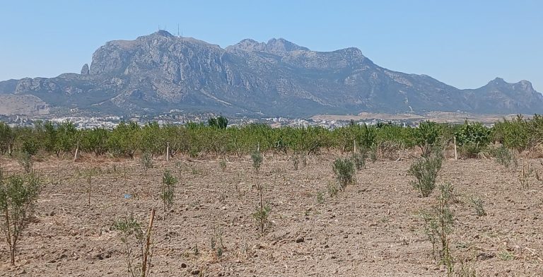 Terrain agricole 5000 m avec une petite maison