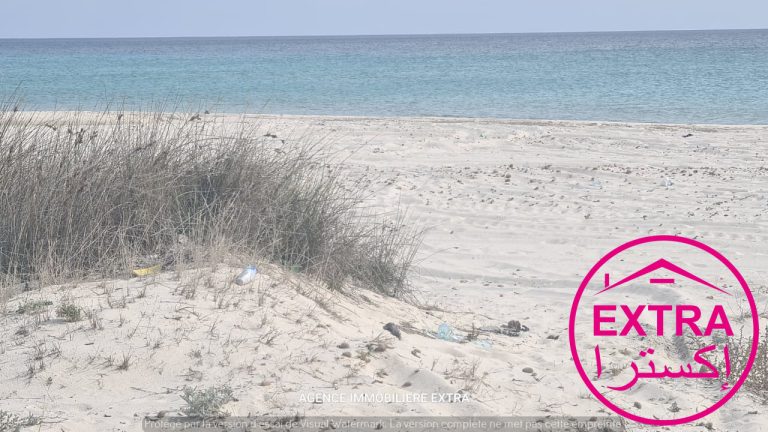8eme terrain pieds dans leau à menzel temime plage
