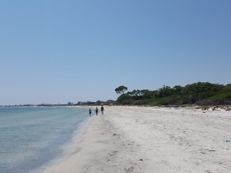 Opportunit&eacute; pour les investisseurs de 1 hectare