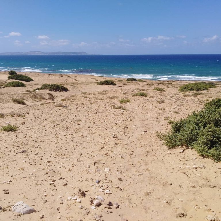 A partir de1000 m vue mer
