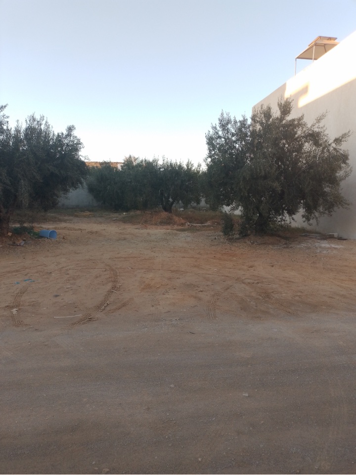 Lot 300m cit&eacute; diamant hammamet nord
