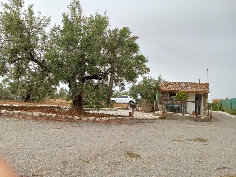 Terrain a el henya