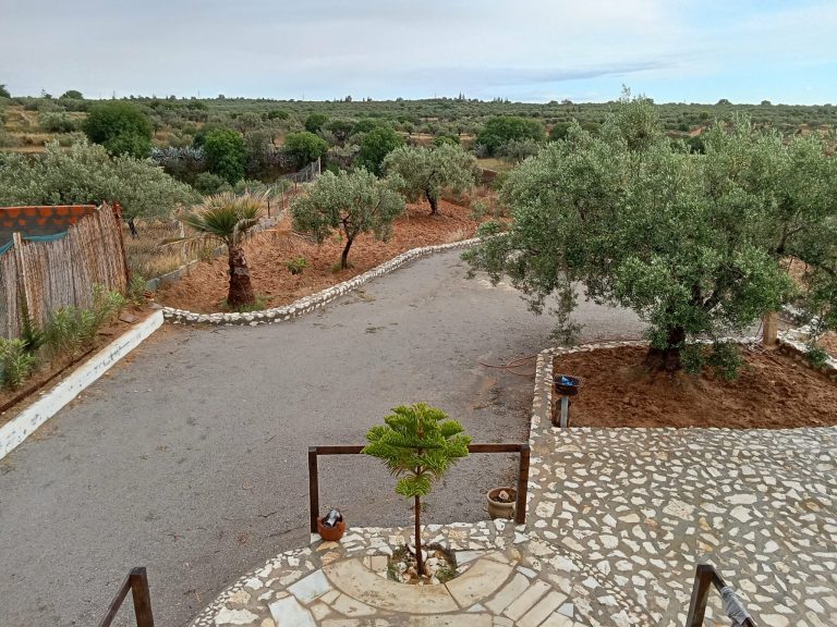 Terrain a el henya