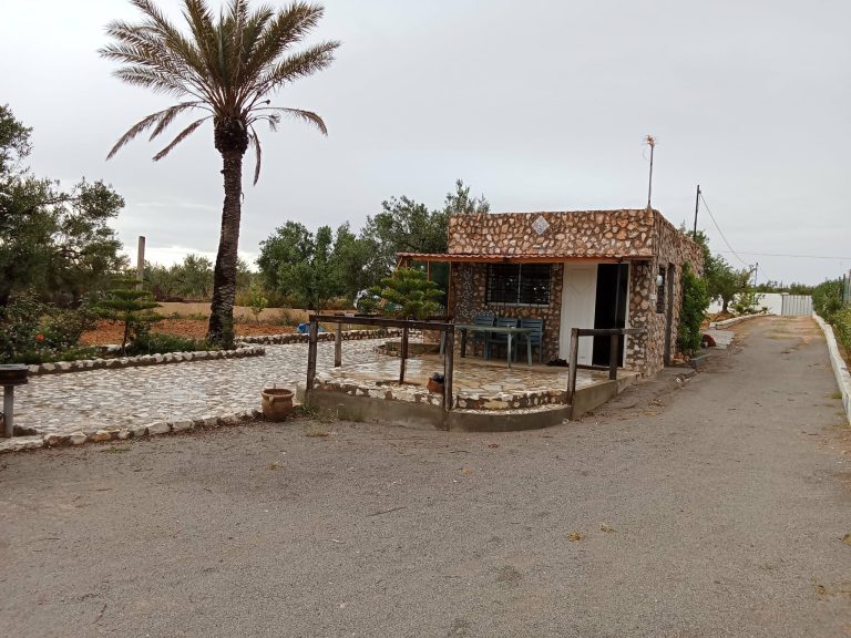 Terrain a el henya