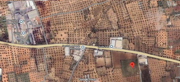 Deux lots de terrain agricole