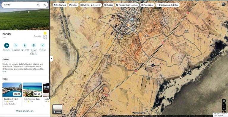 733199 20260124 094248 768x393