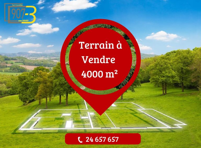 Terrain strat&eacute;gique de 4 000 m2 zone davenir