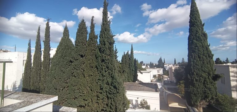 Villa d'angle au menzah 5