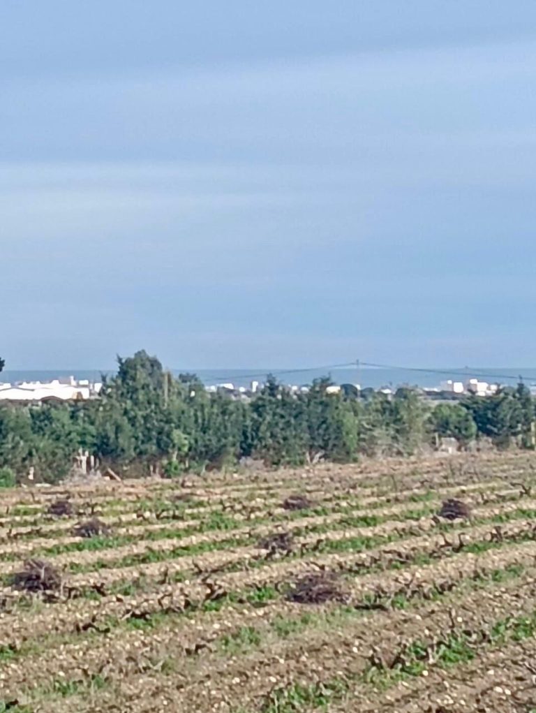 Votre terrain titre bleu