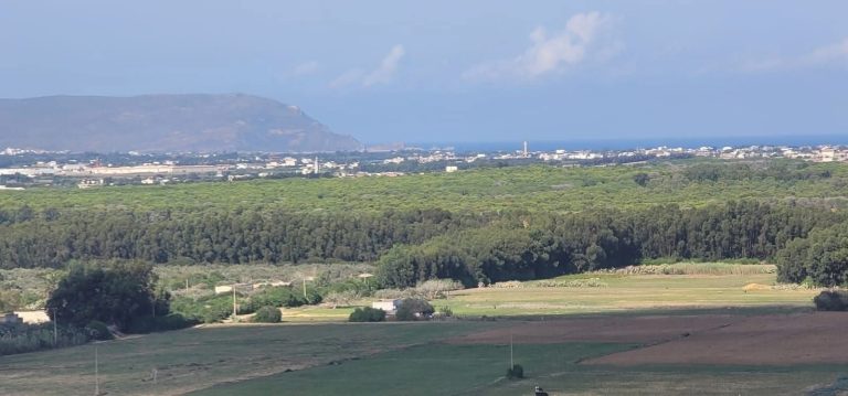 Terrain a nature
