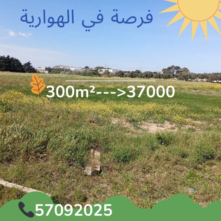 Elhaouari commercial