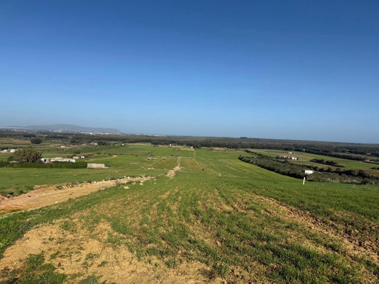 Terrain viabilis&eacute; &agrave; prix imbattable