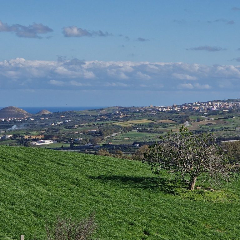 1 hectares 500 m2 avec permis de construire