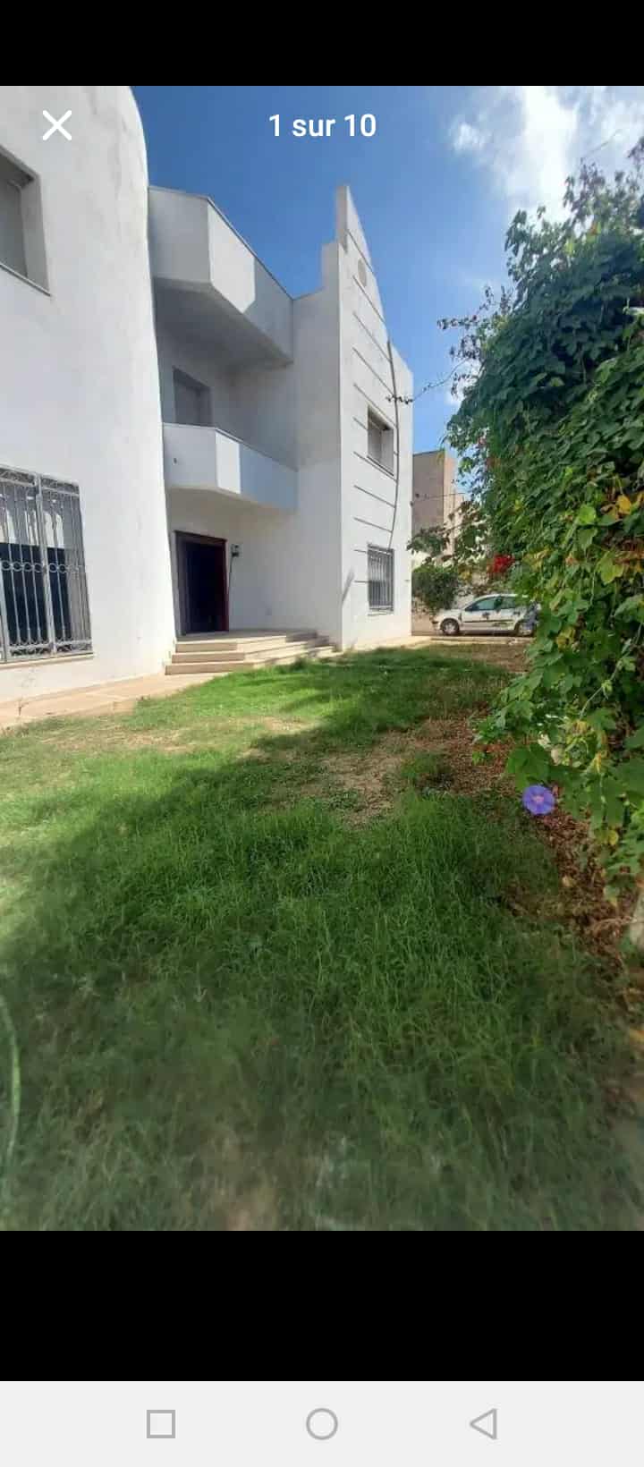 215340 20260220 190832