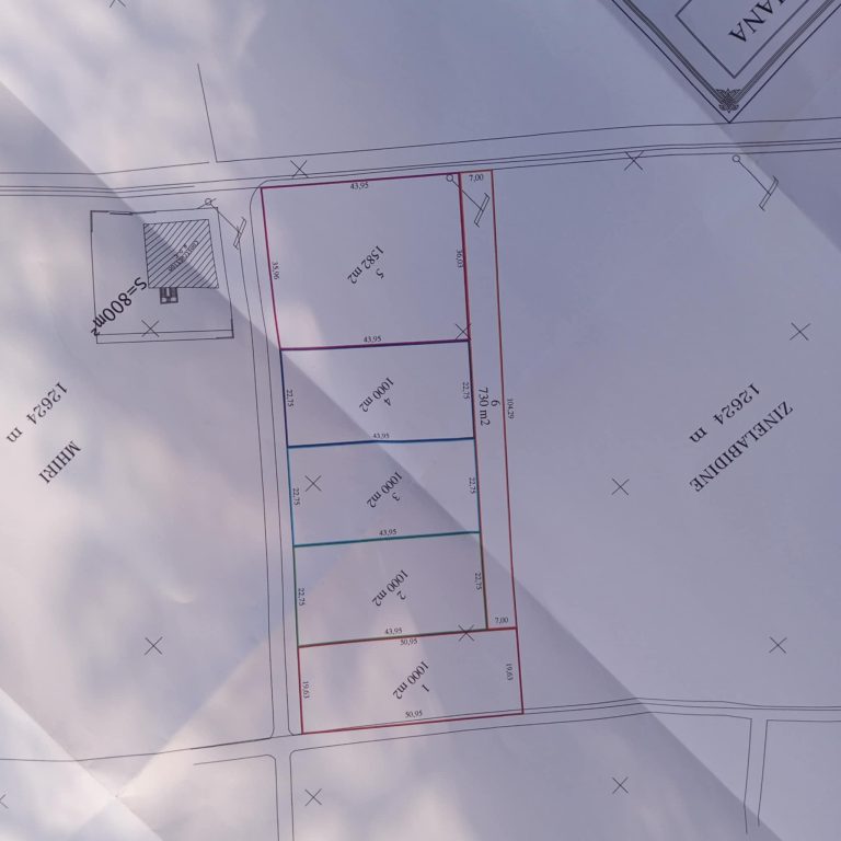 366851 20260206 105251 768x768