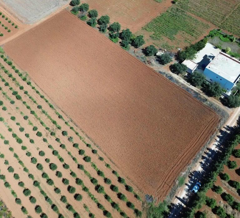 Lots de terrain de 1000 m situ&eacute;s &agrave; sidi thabet