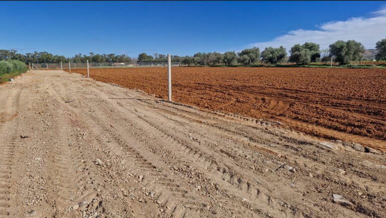 Lots de terrain de 1000 m situ&eacute;s &agrave; sidi thabet