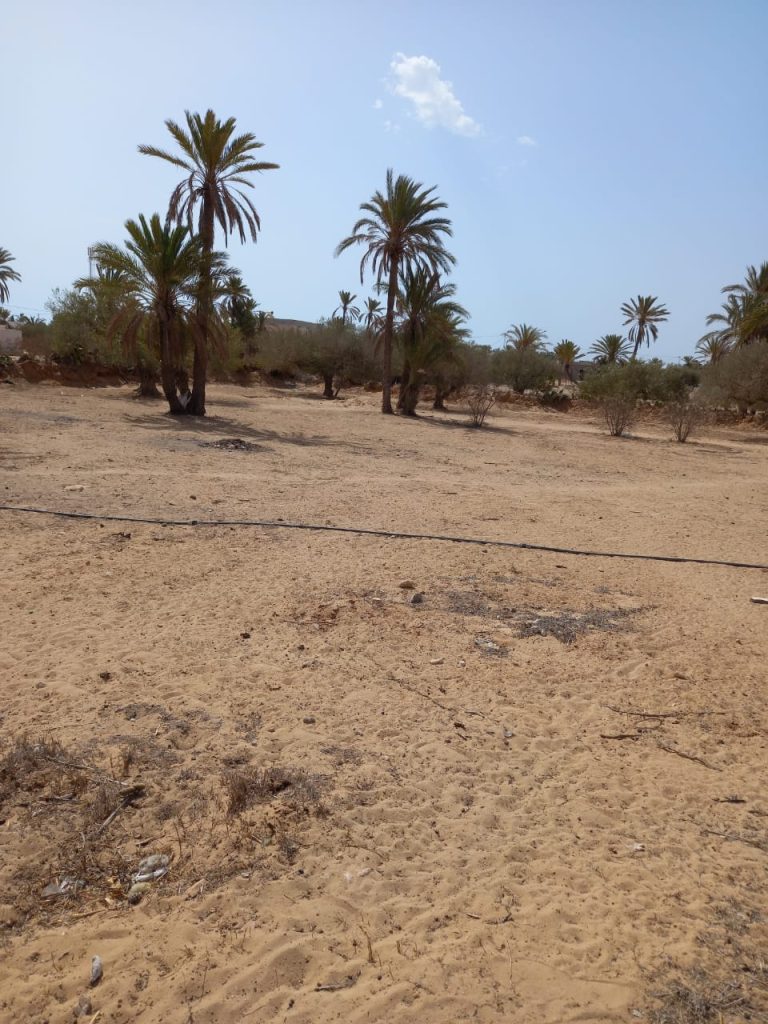 683965 20260219 094902 768x1024