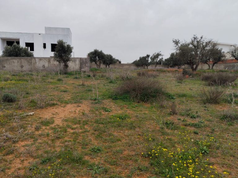 Borj youssef vnt ter 1000m2