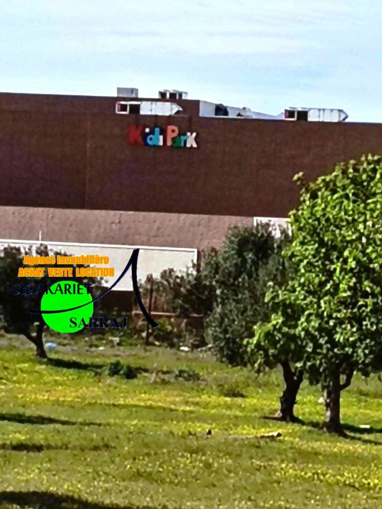 733199 20260217 103554 768x1024