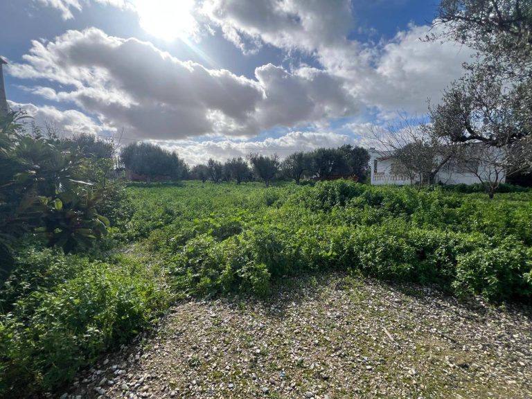 Un superbe terrain avec maison &agrave; sidi younes