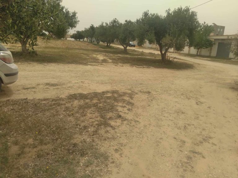 Lot de terrain 230 m2 &agrave; soliman