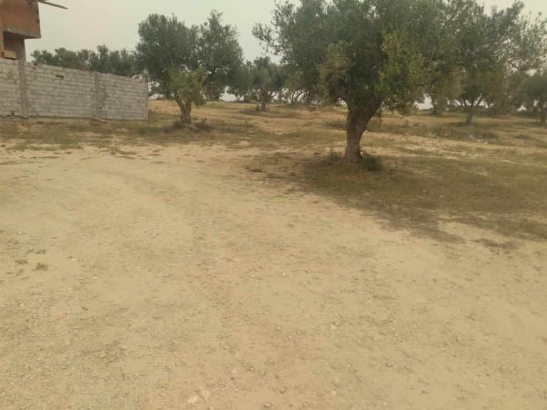 Lot de terrain 230 m2 &agrave; soliman