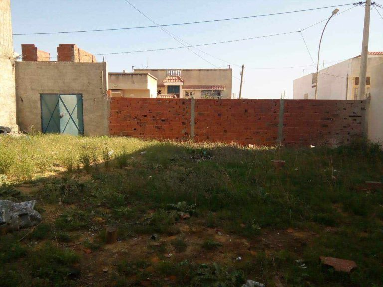 785592 20260129 205919 768x576