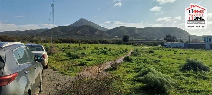 788636 20260203 105221