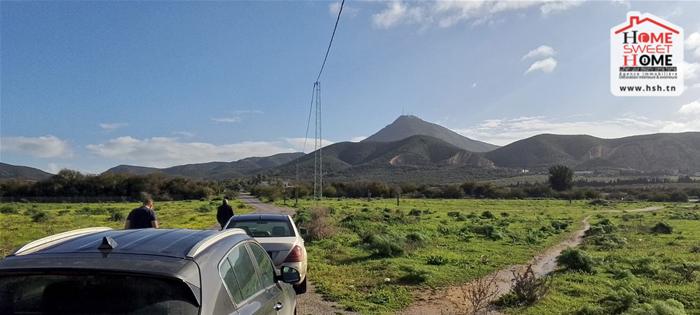 Terrain villa aurora &agrave; boumhal