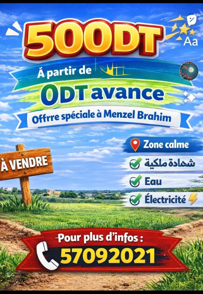 Offre 500dt manzel ibrahim