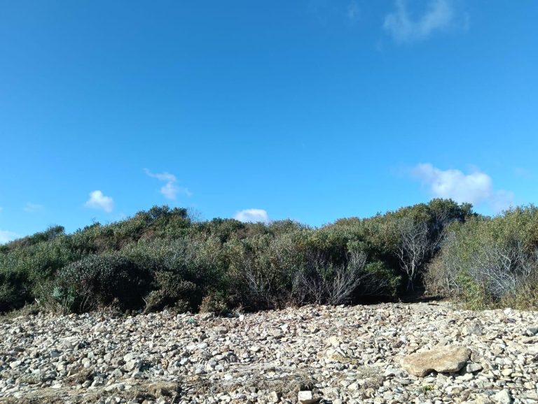 Terrain &agrave; hammam el ghzez prix exceptionnel