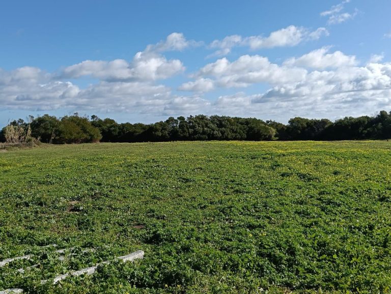 Bien immobilier id&eacute;alement situ&eacute; &agrave; kerkouane