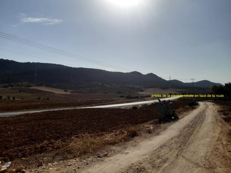 Belle occasion de terrain