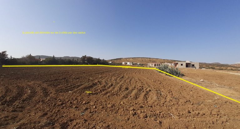 Belle occasion de terrain