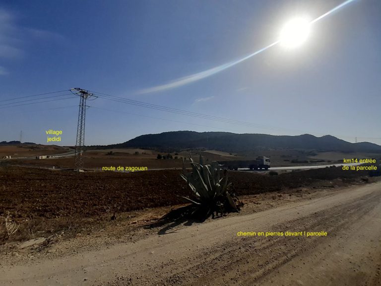 Belle occasion de terrain