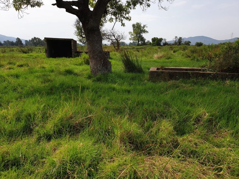 Terrain agricole tabarka