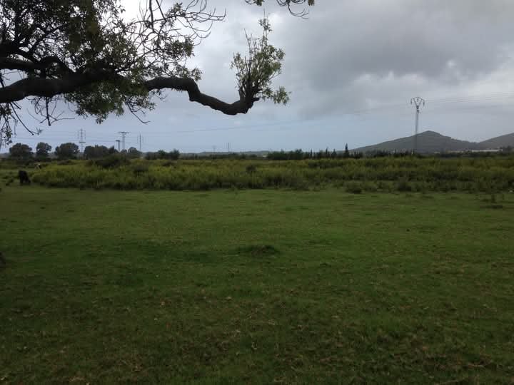 Terrain agricole tabarka
