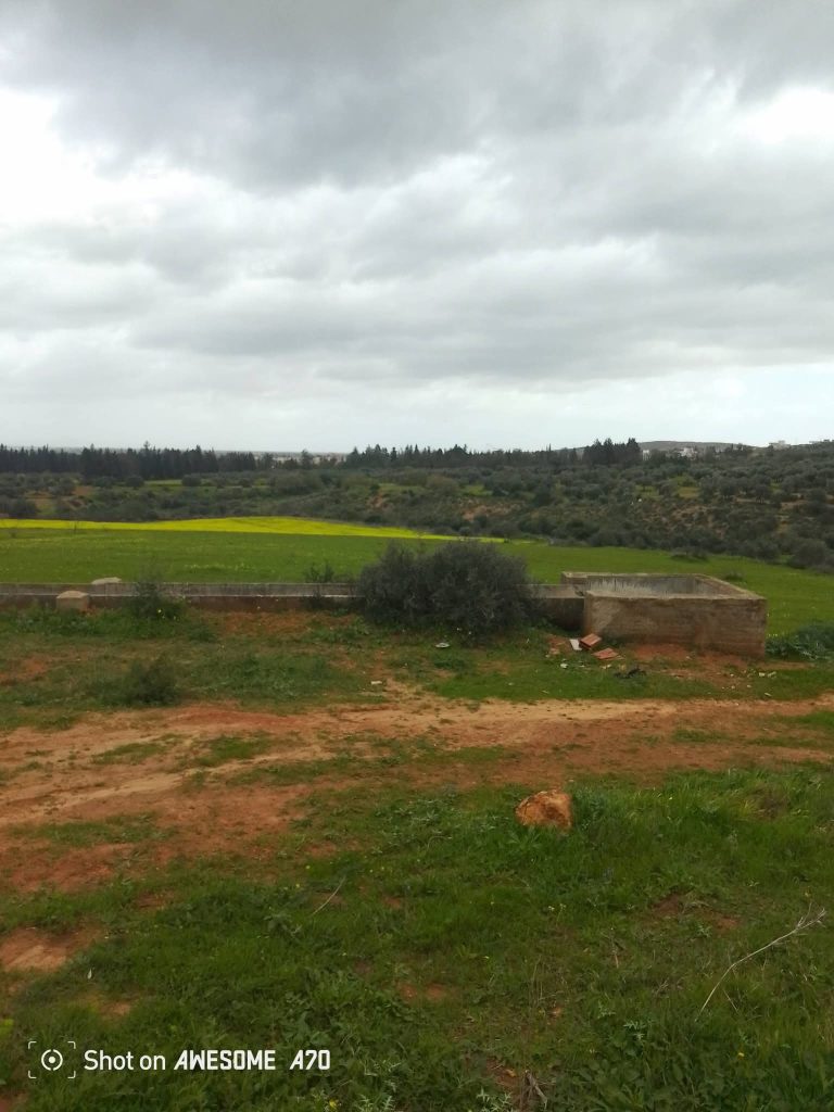 Terrain de 1 hectare &agrave; sidi thabet jabbes