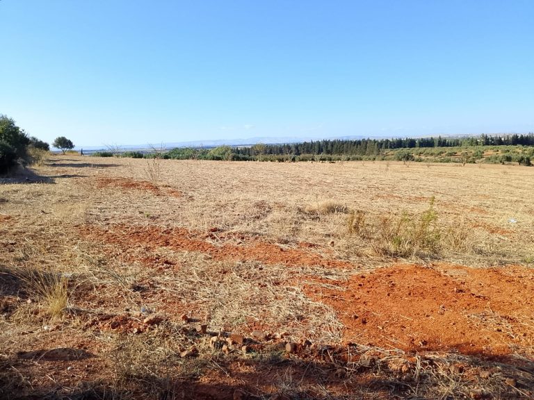 Terrain de 1 hectare &agrave; sidi thabet jabbes