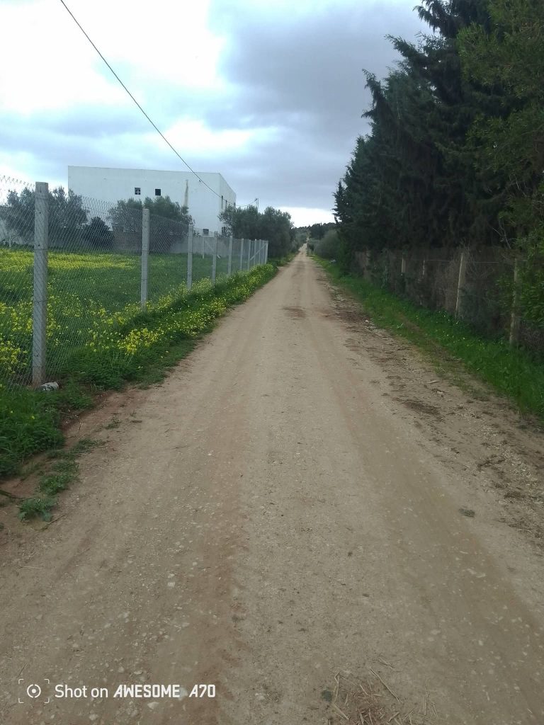 Lots de terrain de 1000 m situ&eacute;s &agrave; sidi thabet