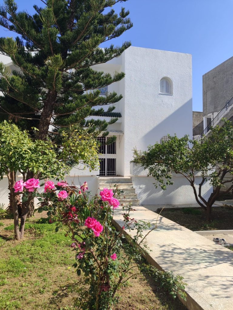 38662 20260310 224206 768x1024