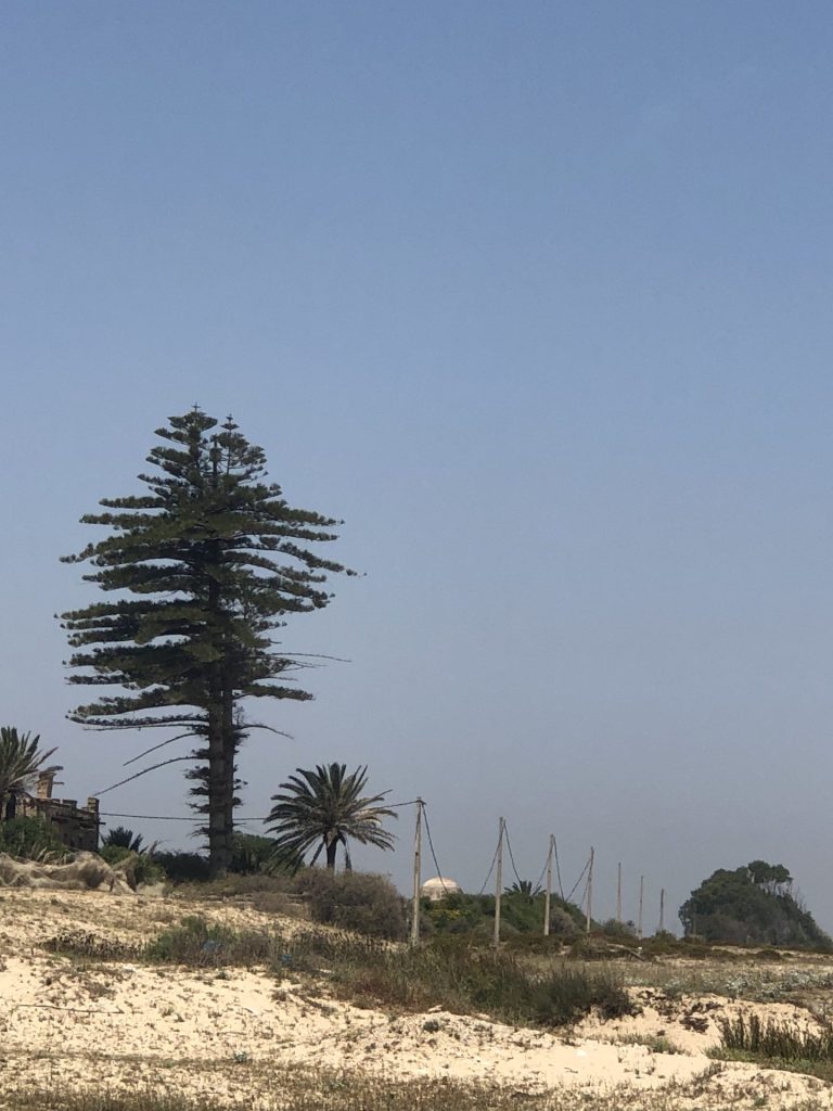 Terrain &agrave; ezzahra