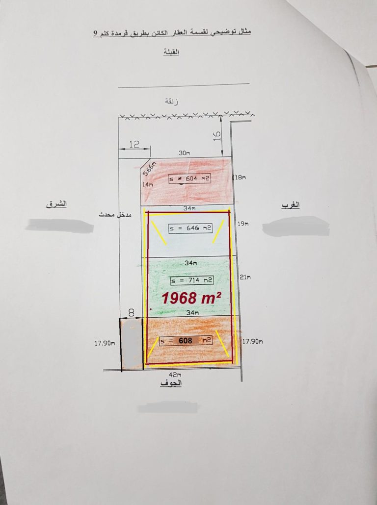 514423 20260311 004550 768x1030