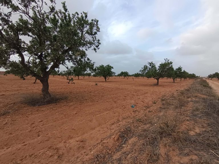 Bora louz route el matar