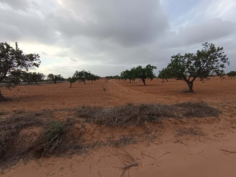 Bora louz route el matar