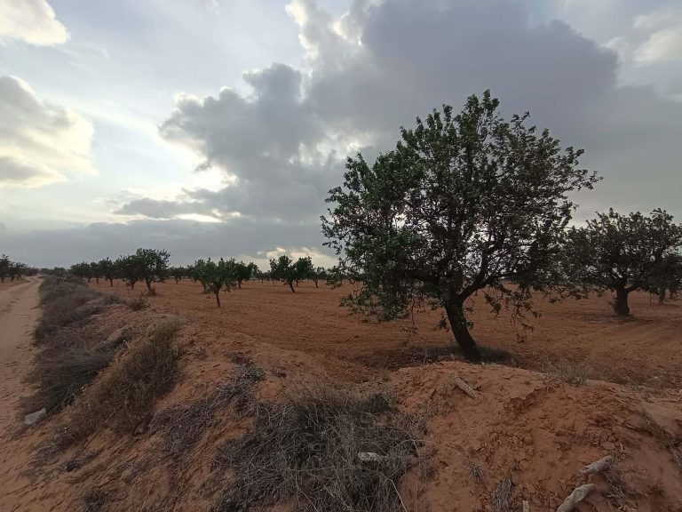 Bora louz route el matar